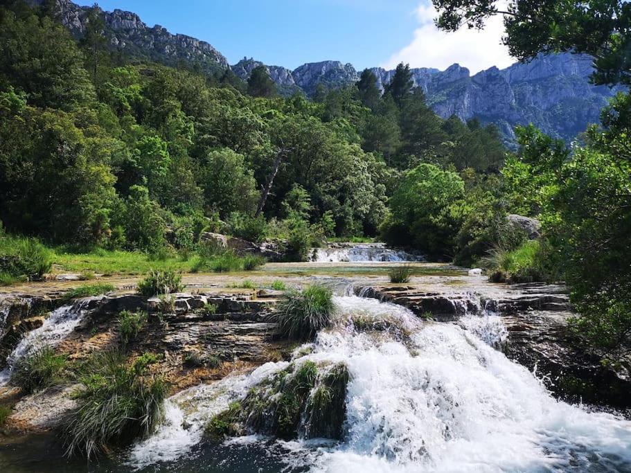 Appartamento Ca La Cabrera Alfara de Carles Esterno foto