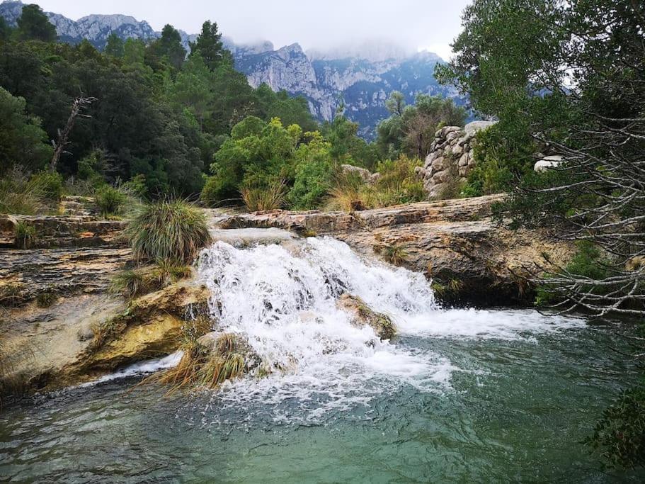 Appartamento Ca La Cabrera Alfara de Carles Esterno foto
